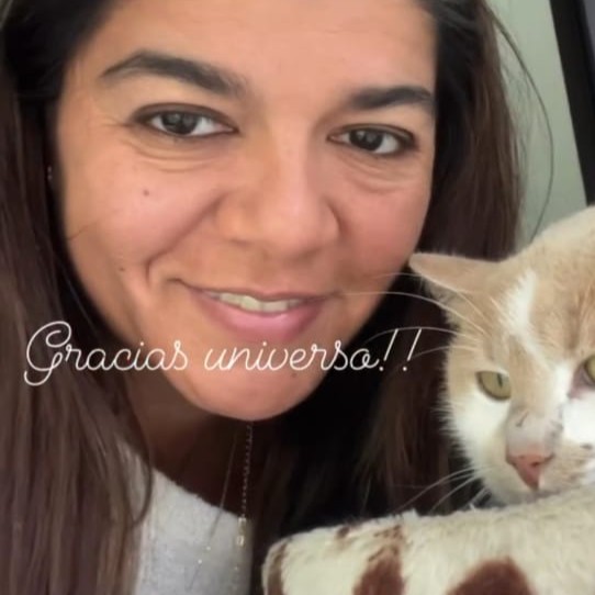 imagen de whatsapp 2025 09 11 a las 17.26.47 4eed5768